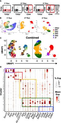 Distinct subpopulations of DN1 thymocytes exhibit preferential γδ T lineage potential